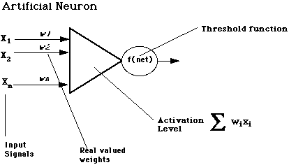 Neuron